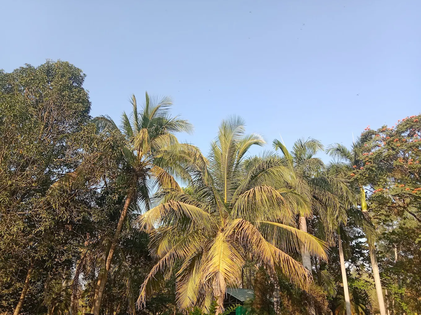 Janjgir-Champa, Chhattisgarh