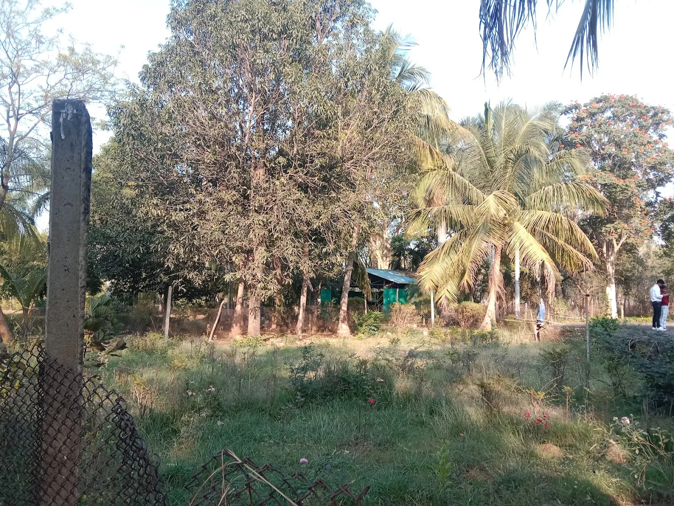 Kawardha, Chhattisgarh, photo 2