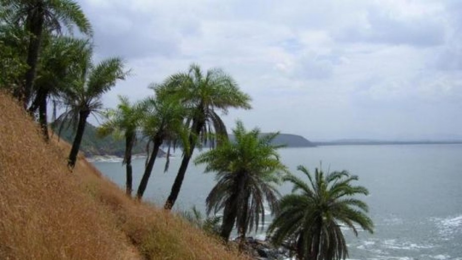Half Moon Beach, photo 1 of 15