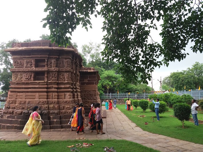 Deobaloda charoda, photo 4 of 9