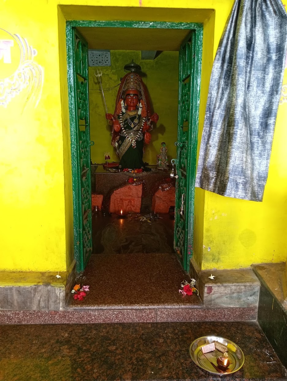 Deobaloda charoda, photo 1 of 9