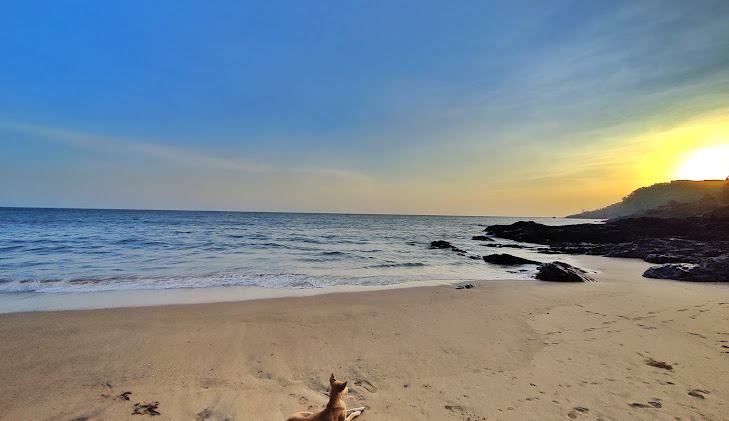 Paradise Beach, photo 3 of 15