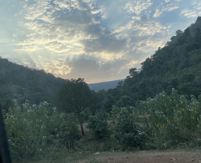 Kawardha, Chhattisgarh, photo 4