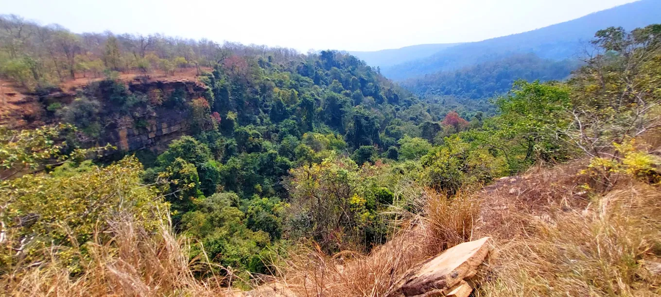 Gomarda Wildlife Sanctuary (ABHYARANYA), photo 1 of 9