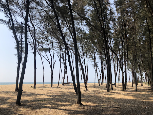 Tannirbhavi Beach, photo 3 of 10