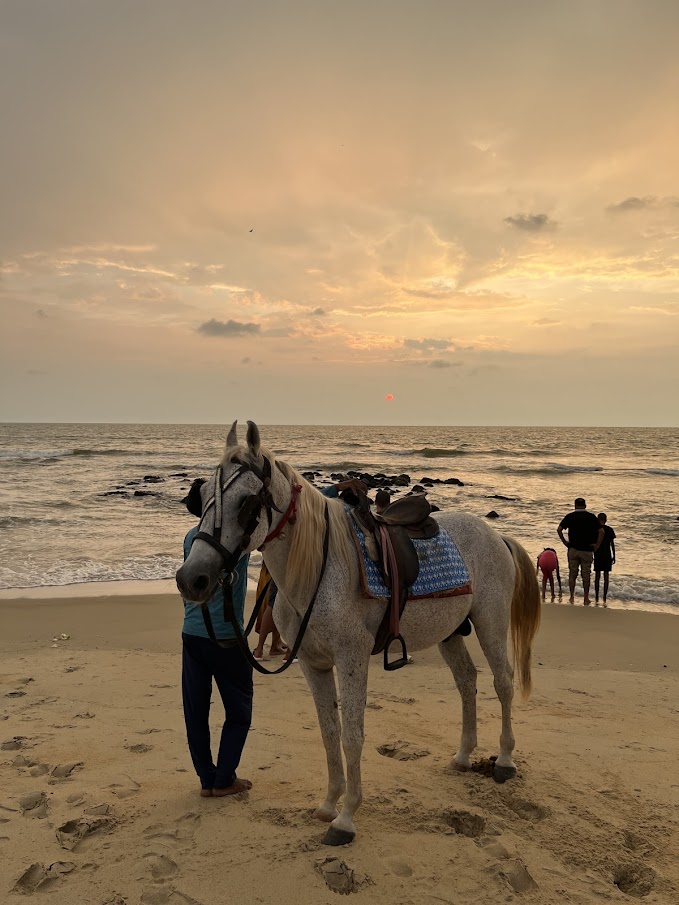 Tannirbhavi Beach, photo 4 of 10